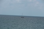 resIMG_20190613_100824_0766.JPG
